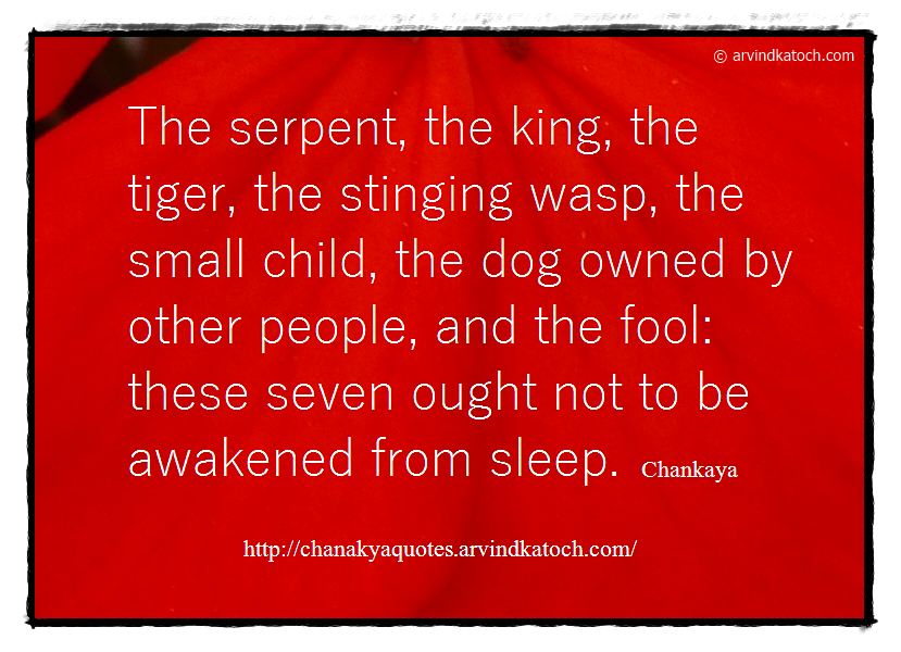 King, Tiger, serpent, fool, dog, Chanakya, Quote,