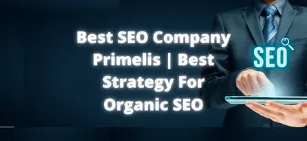 Best SEO Company Primelis | Best Strategy For Organic SEO