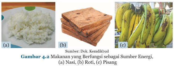 Gambar Makanan yang Berfungsi sebagai Sumber Energi, (a) Nasi, (b) Roti, (c) Pisang