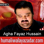 https://humaliwalaazadar.blogspot.com/2019/08/agha-fayaz-hussain-hakro-nohay-2020.html