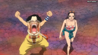 ワンピースアニメ パンクハザード編 580話 ウソップ ロビン | ONE PIECE Episode 580