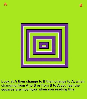 Moving Squares Optical Illusion