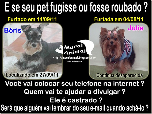 seu_pet_sumiu