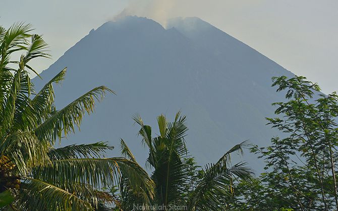 Puncak Gunung Merapi Terlihat Cerah kala pagi