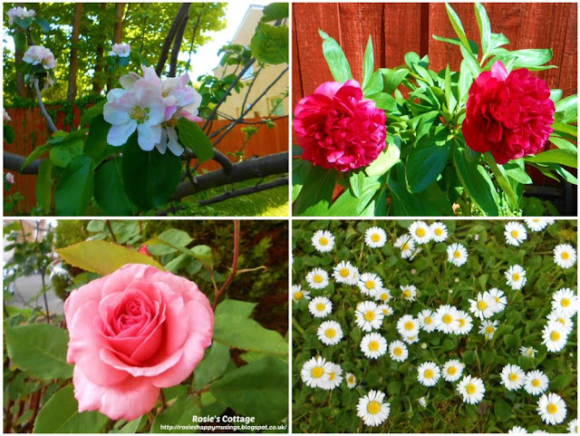 Being blessed by our garden: We've been overwhelmed this year by beautiful blooms honeys and feel so grateful.