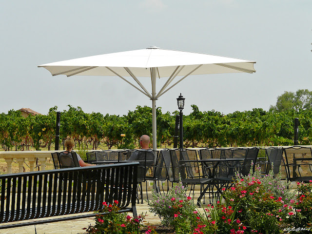 A couple enjoys a glass of wine and a Vineyard View from the Tuscany-style patio at Grape Creek Vineyards.