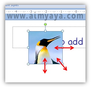 Gambar sangat sering dipakai sebagai materi presentasi Cara Crop Gambar di Powerpoint