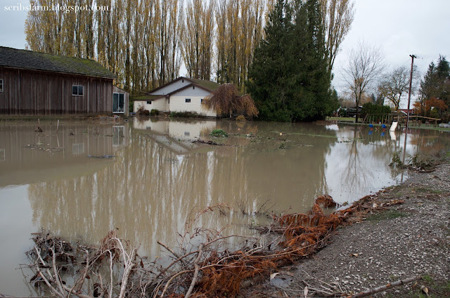 nooksack flood