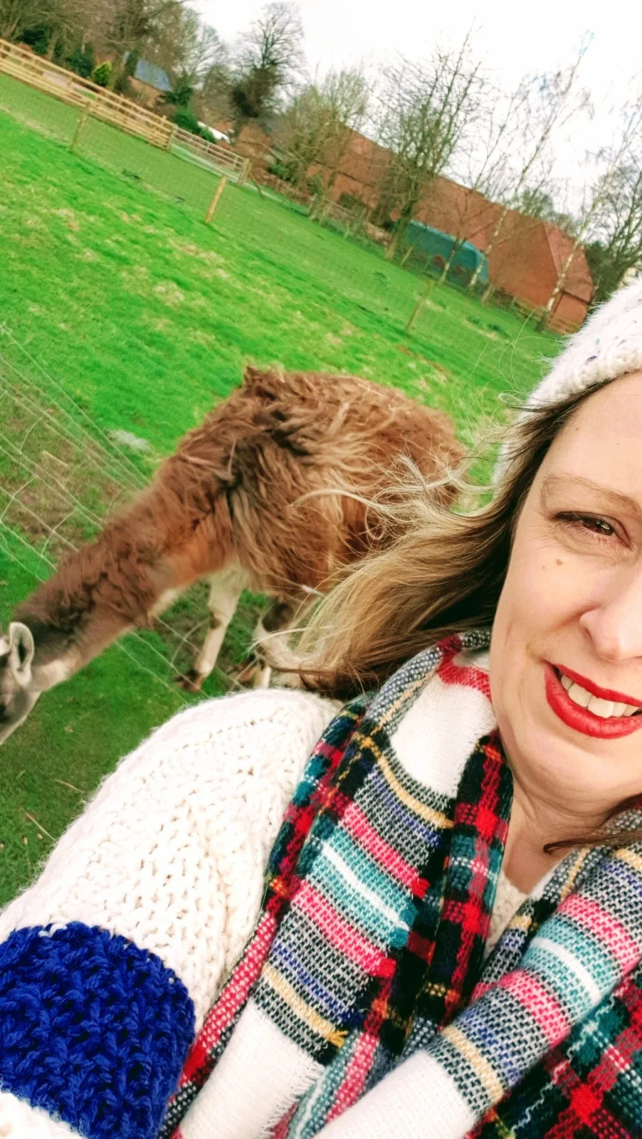 But First Llama Take A Selfie | Cosy Jumper, Woolie Hat And Tartan Scarf