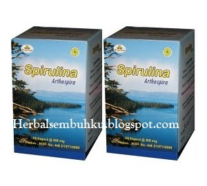 Jual Spirulina murah berkualitas Surabaya | 085755201000 | Memelihara Daya Tahan Tubuh 