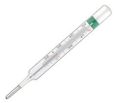 Fieberthermometer%2B