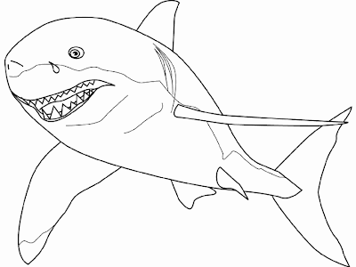 Free Coloring Sheets  Kids on Coloring Pages   Shark Animal Coloring Sheet To Print For Kids   Free