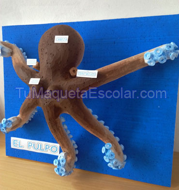 maqueta para niño