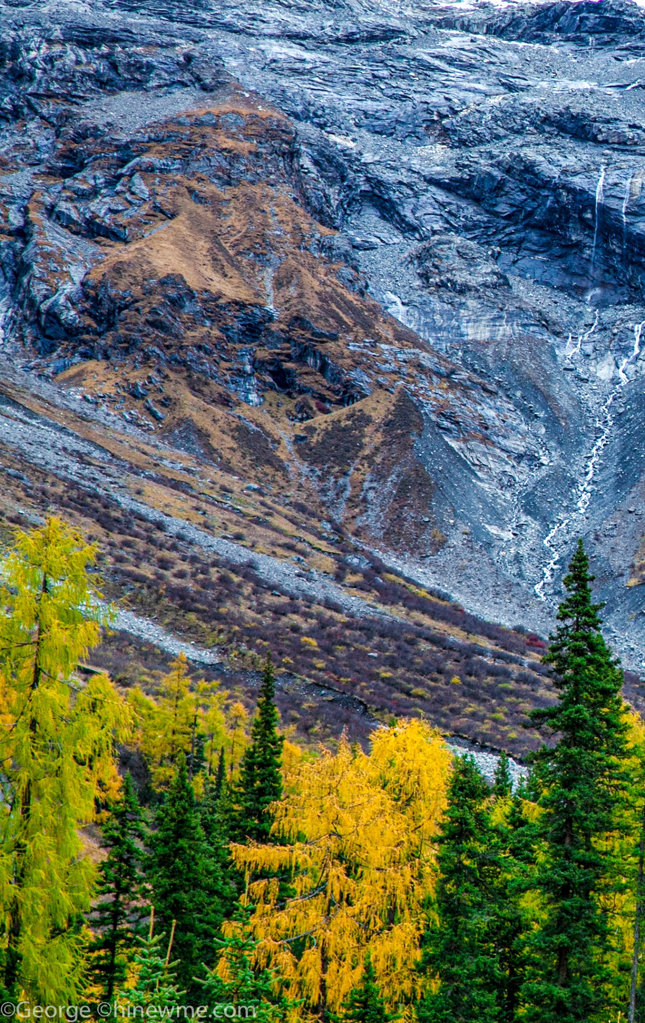 14Travel photography photography mountain and pine trees, 9photograph skill