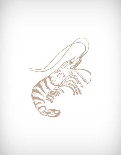 চিংড়ি, shrimp, prawn, crayfish, black tiger, cat tiger, harina, lobe, golda, bagda, white prawn, chaka, mollusk, shellfish, crab, sea food, fish