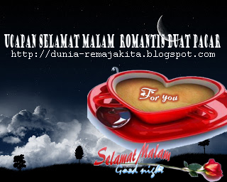 Kata Kata Ucapan Selamat Malam (Selamat Tidur ) Romantis 