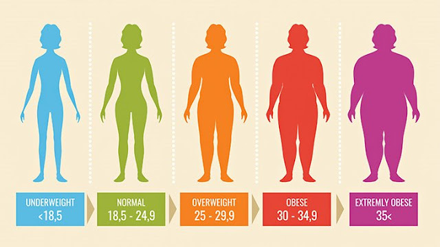 Kako izracunati indeks telesne mase?
