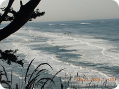 DSCN0633