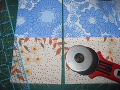 IMG_5829[1]