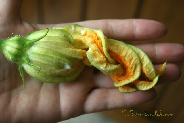 flores de calabacín rellenas