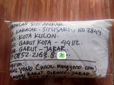 Benih padi yang dibeli    ABDULAH SUKANDAR Garut, Jabar. (Setelah packing karung ).