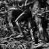 Mais de 100 mil pessoas já visitaram a exposição de Sebastião Salgado na CAIXA Cultural Recife
