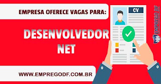 Desenvolvedor NET