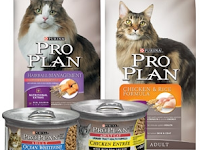 Pro Plan Cat. Harga Proplan kitten kaya protein