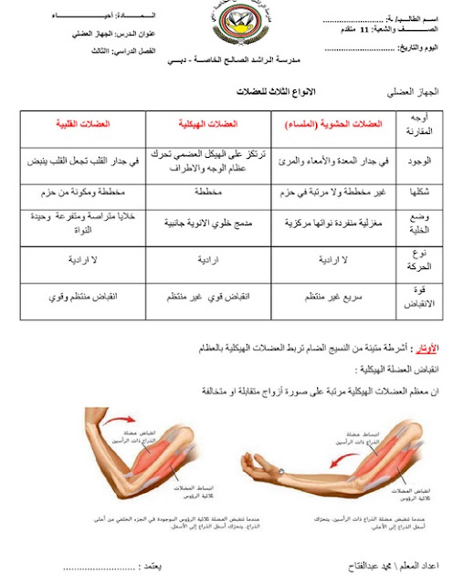 ملخص الجهاز العضلي في العلوم للصف التاسع