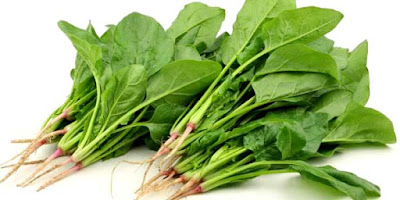 Anti-Aging Foods Spinach