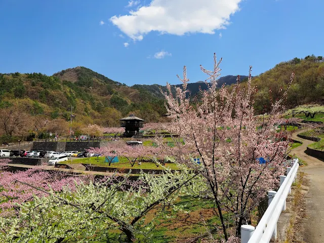 一宮　花見台　桃源郷