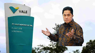 PT Vale Diminta Angkat Kaki dan Ambisi Erick Thohir Kuasai Saham Mayoritas Bisnis Tambang Nikel