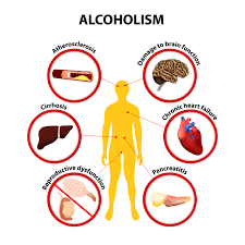 Effects of Alcohol in the human body