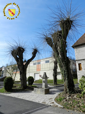 PONT-SAINT-VINCENT (54) - fontaine