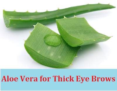 Aloe vera to get thick eyebrows - Homeremediestipsideas