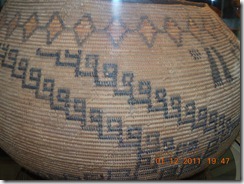 DSCN4677