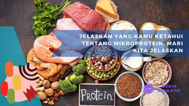 Jelaskan yang Kamu Ketahui Tentang Mikroprotein, Mari Kita Jelaskan