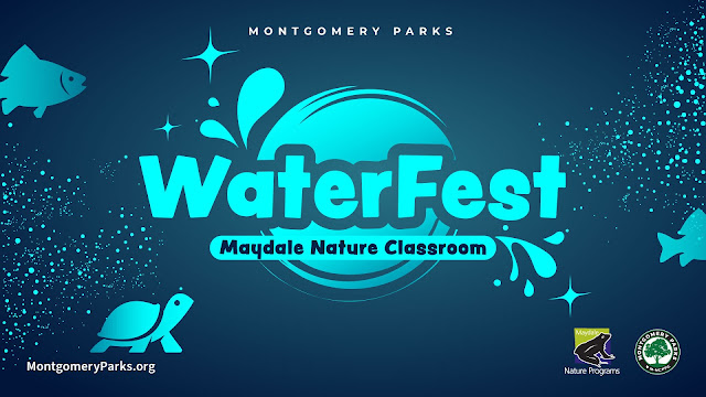 Waterfest, a Native Plant Sale and Beginning Kayaking for Older Adults Among the Special May Programs at the Nature Centers of Montgomery Parks