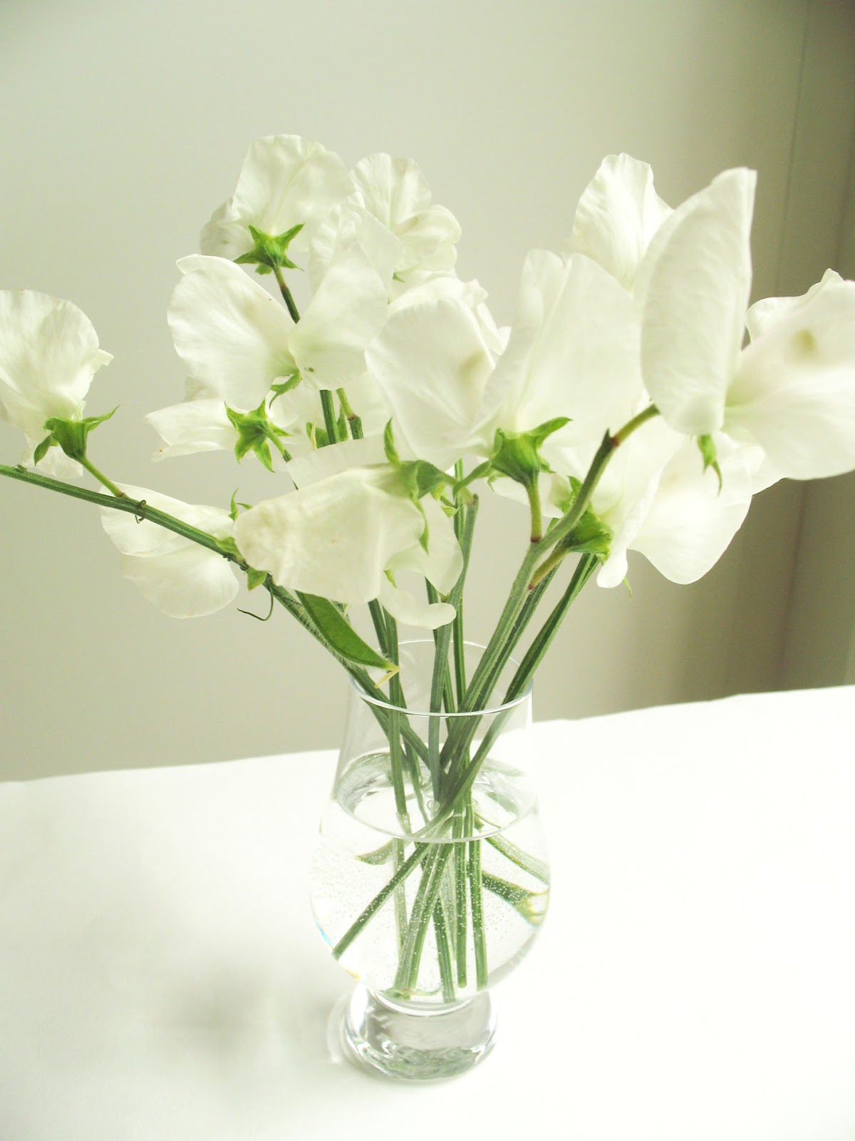 Sweet Pea Flowers