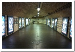 IMG_08101_thumb4