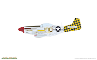 Eduard 1/48 RED TAILS & Co. DUAL COMBO 1/48 (P-51D Mustang) (11159) Colour Guide & Paint Conversion Chart