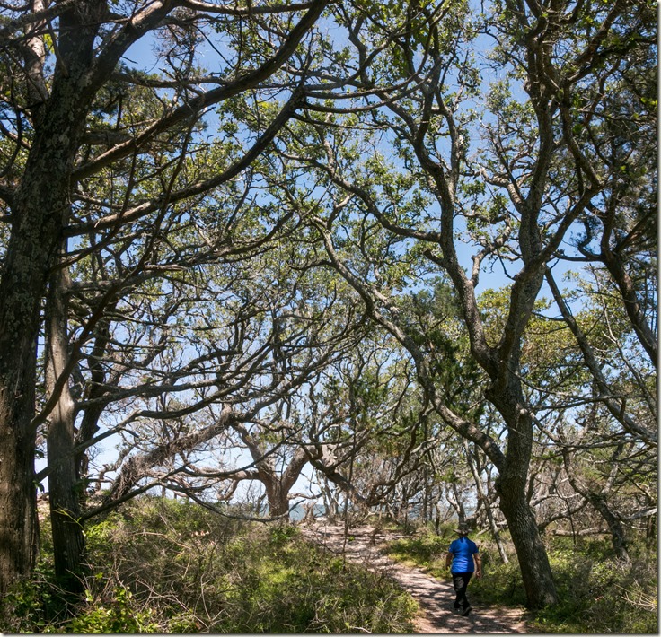 IMG_1035208-Pano