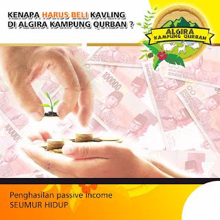Investasi passive income dari Algira Kampung Qurban dengan passive income Rp. 30 juta/tahun di Bogor
