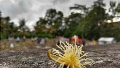 pasien meninggal karena virus corona