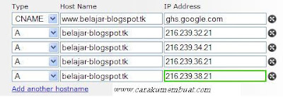 ANAME dot tk DNS setting