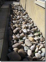 Rocks d