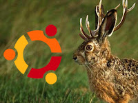 Aggiornamenti di Sicurezza importanti per Ubuntu 9.04 Jaunty Jackalope, seconda parte