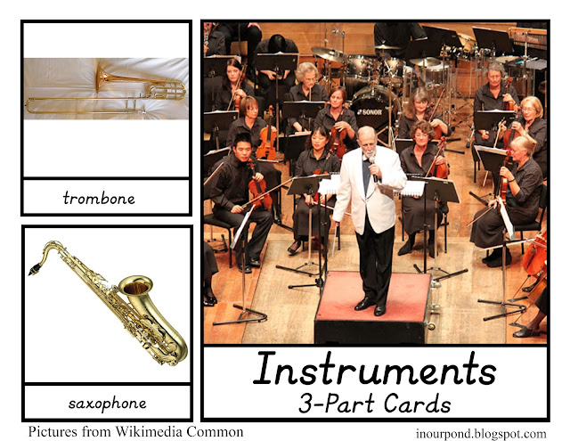 FREE 3-Part Cards for Safari Ltd Instruments Toob