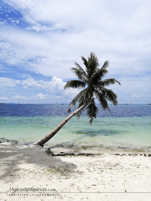 Cocotier penché Bulabog Beach Boracay