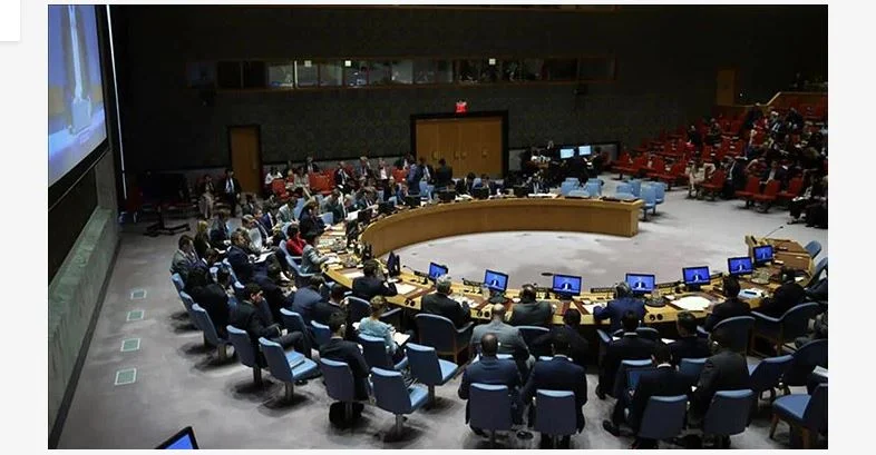 UNSC members rebuff India’s bid to secure leadership of key panels